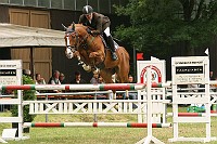 IMG_0036