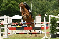 IMG_0005