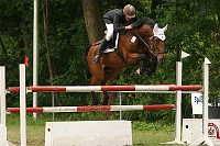 IMG_0010