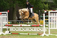 IMG_0010