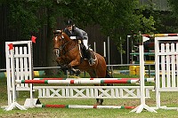 IMG_0012