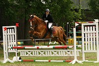 IMG_0063
