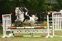 IMG_0066