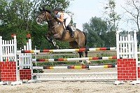 IMG_0054