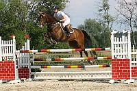 IMG_0074
