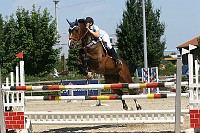 IMG_0010