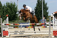 IMG_0031