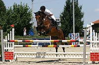 IMG_0154