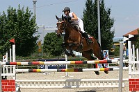 IMG_0201