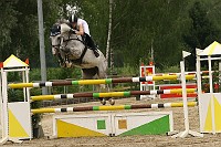 IMG_0041