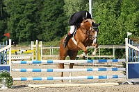 IMG_0045