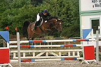 IMG_0020