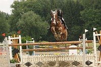 IMG_0029