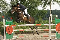 IMG_0019