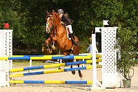IMG_0005