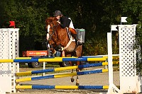 IMG_0012
