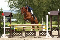 IMG_0042
