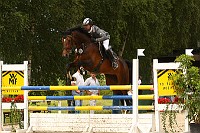 IMG_0012