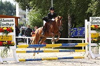 2MG_0017