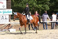 3MG_0019