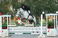 IMG_0010