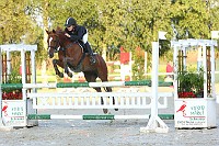 IMG_0011