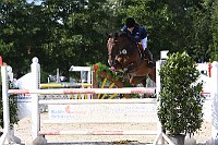 IMG_0006