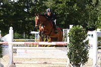 IMG_0046