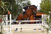 IMG_0008