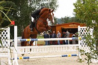 IMG_0010