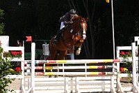 IMG_0005