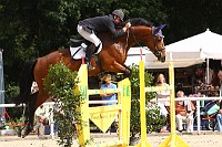 IMG_0017