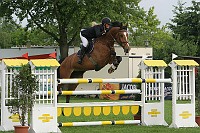 IMG_0003