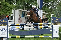 IMG_0082