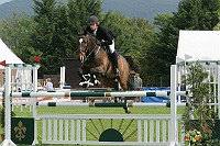 IMG_0195