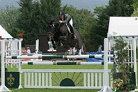 IMG_0203
