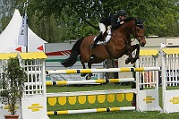 IMG_0235
