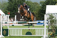 IMG_0264