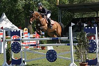 IMG_0006