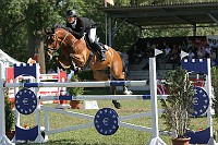 IMG_0012