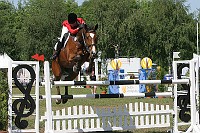 IMG_0031