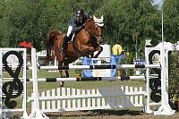 IMG_0037