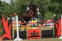IMG_0001