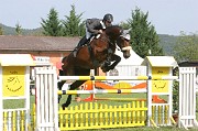 IMG_0043