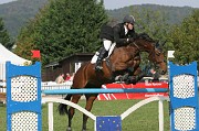 IMG_0020