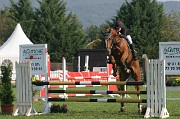 IMG_0017