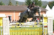 IMG_0028