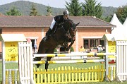 IMG_0036