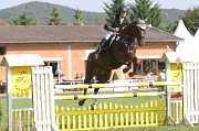 IMG_0041