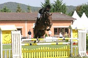 IMG_0061